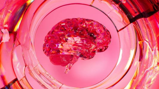 ¡Cuida tu cerebro! Hábitos esenciales que pueden proteger tu salud neurológica