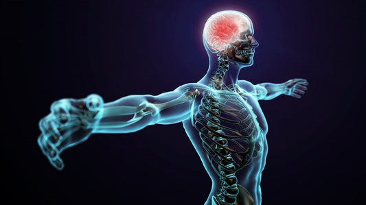 Salud cerebral: lo que el cuerpo siente, el cerebro lo procesa