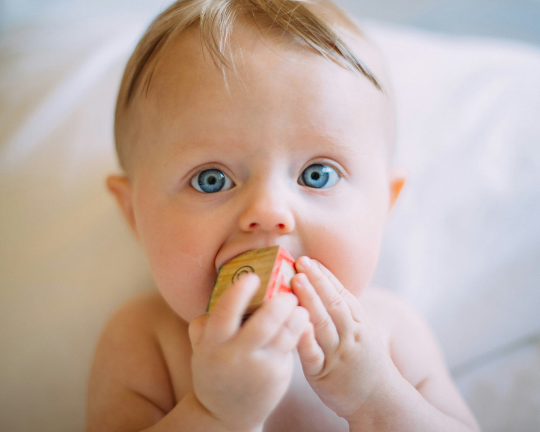 Microbiota Infantil y Desarrollo Inmunitario en los Primeros Años