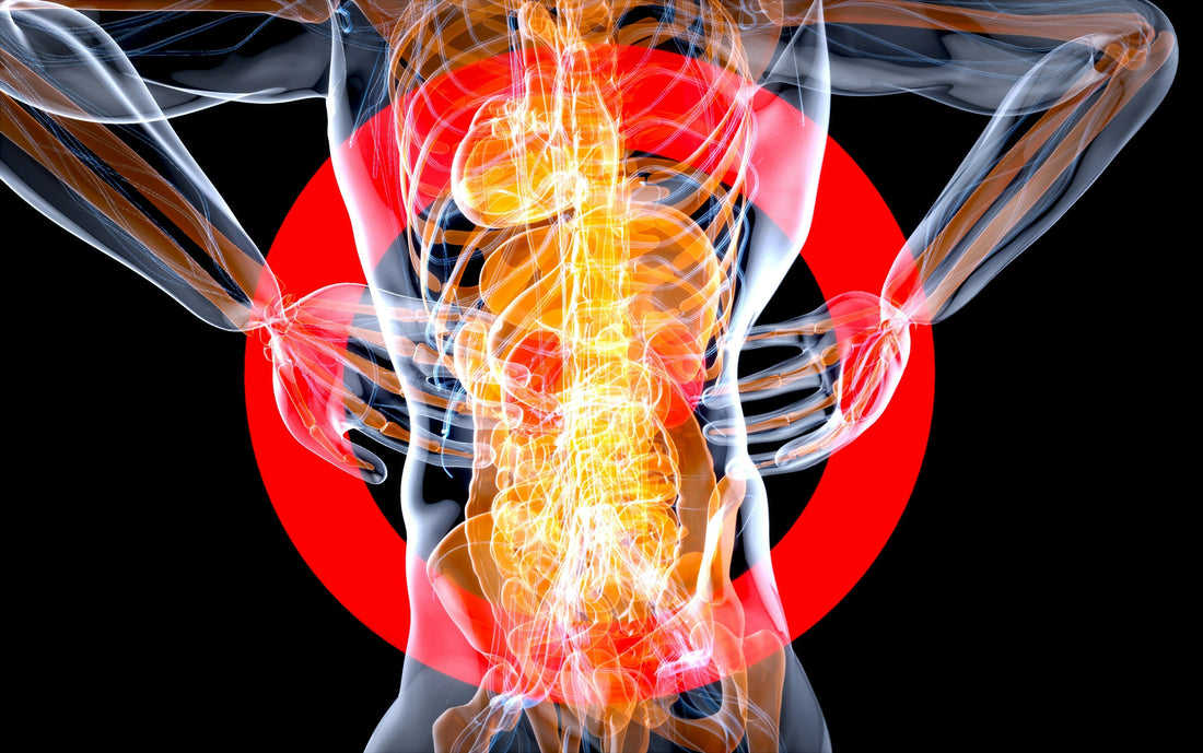 Hipertensión y riñones: control clave para la salud renal