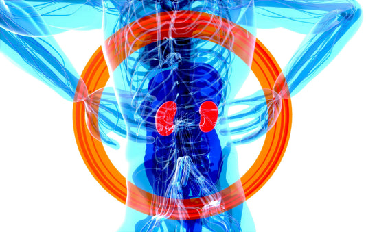 Diálisis peritoneal en casa: viva normal mientras sus riñones descansan
