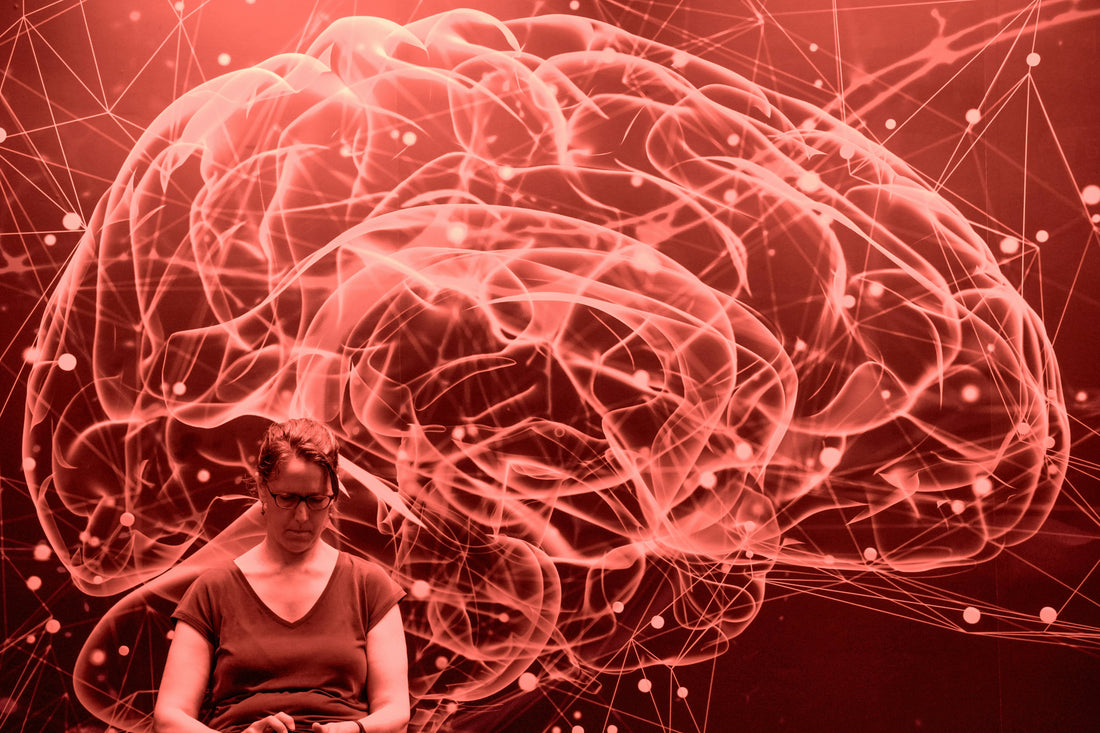 La Sociedad Venezolana de Neurología lanza la campaña “Epilepsia 360°: Conocer, Actuar y Acompañar”