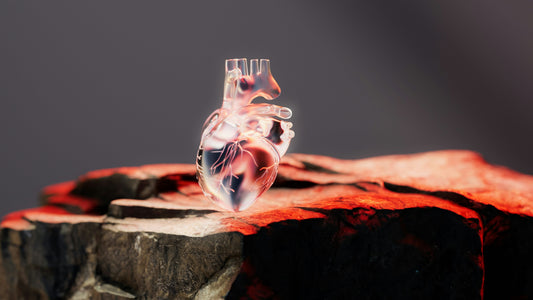 Hipertensión y riesgo cardiovascular: por qué el control temprano salva vidas