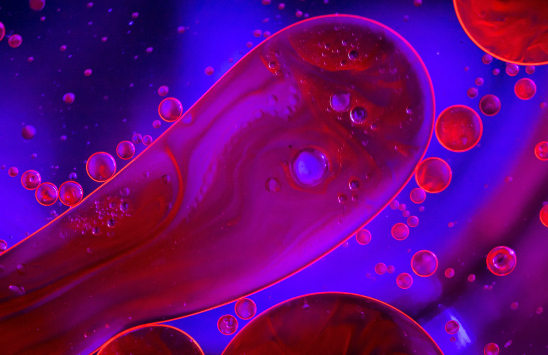 ¿Qué es la Hematología y Por Qué Importa para Tu Salud?