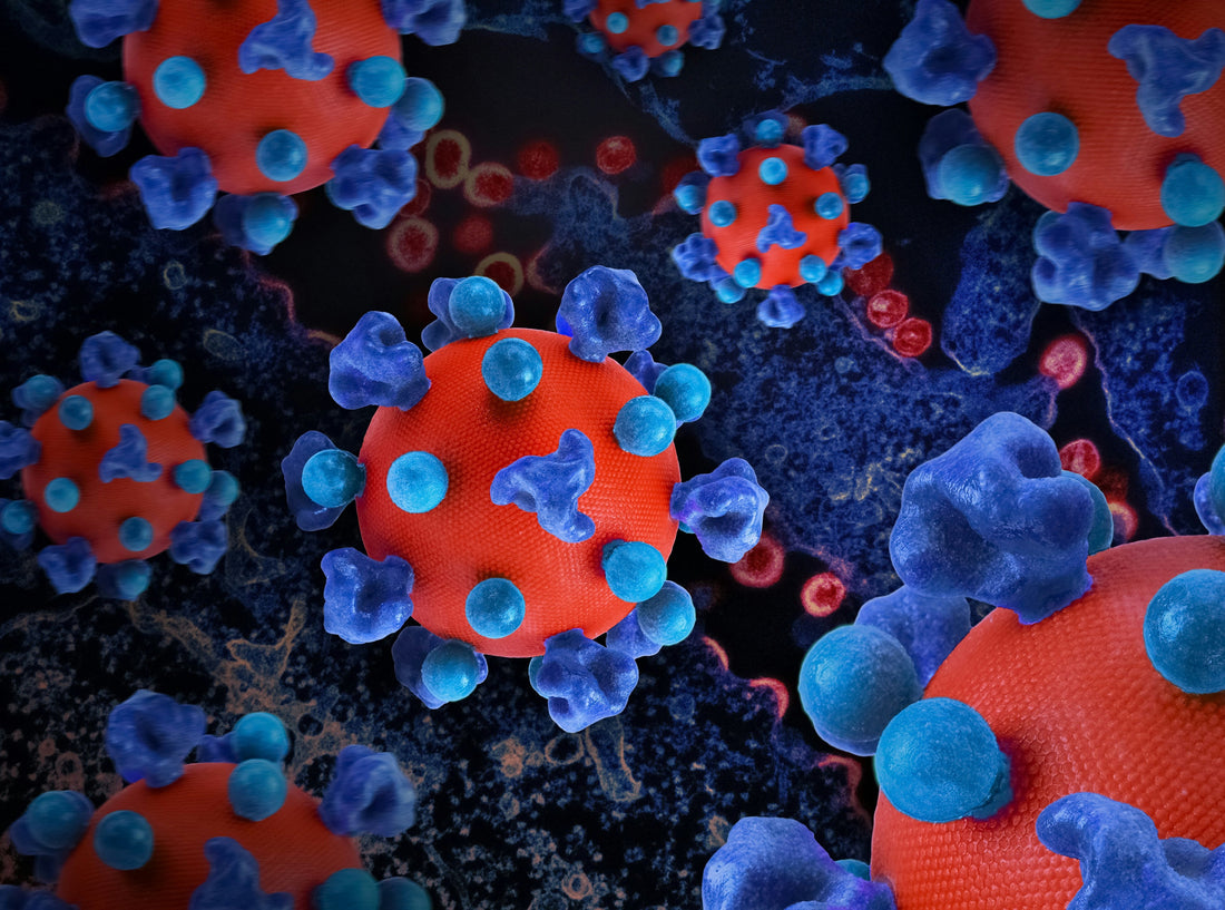 Nuevas estrategias para reducir la progresión de la glomerulonefritis