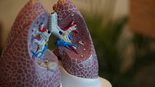 Avances en Terapias Dirigidas en Cáncer de Pulmón