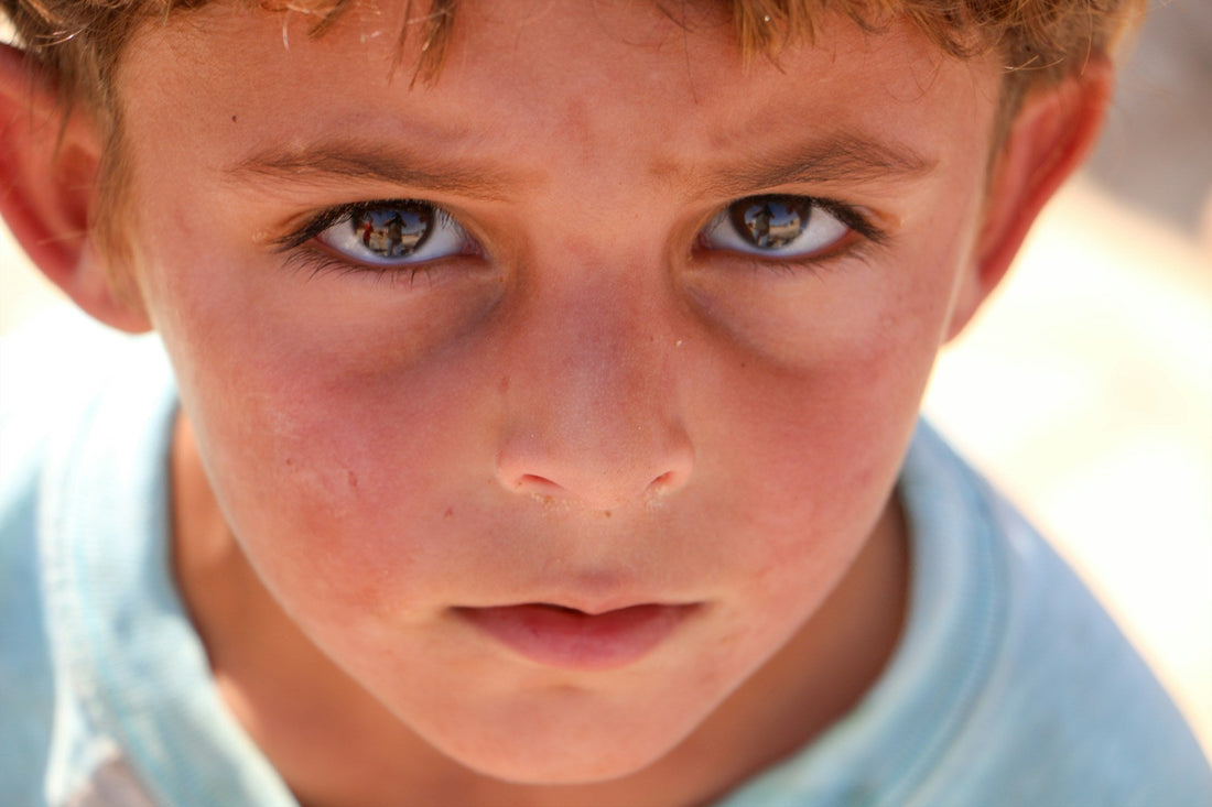 Investigación y formación: base para la excelencia en medicina familiar