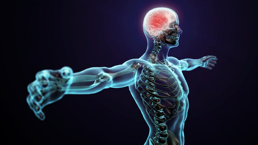 Salud cerebral: lo que el cuerpo siente, el cerebro lo procesa